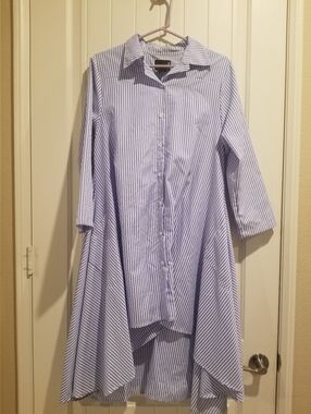 Blue/White Shirt Dress